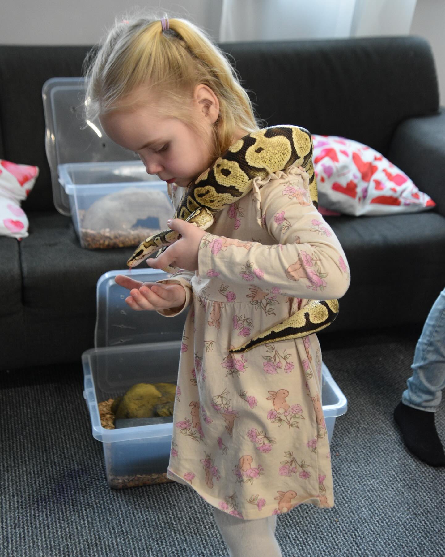 Madudega pildistamine