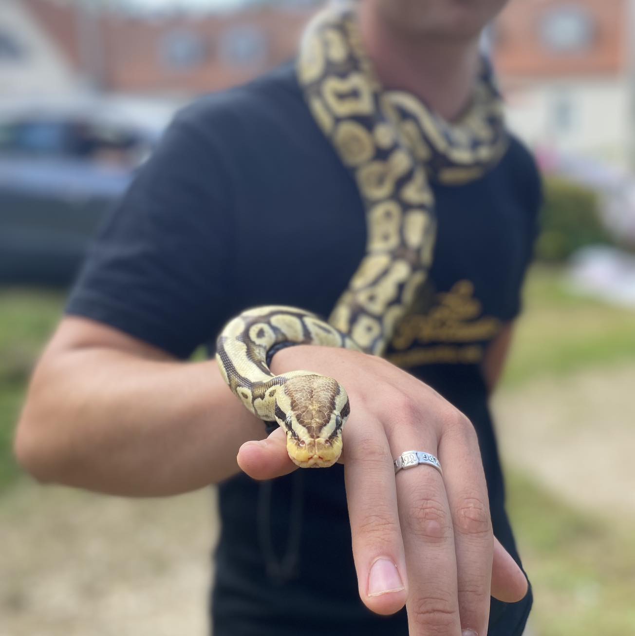 Madudega pildistamine