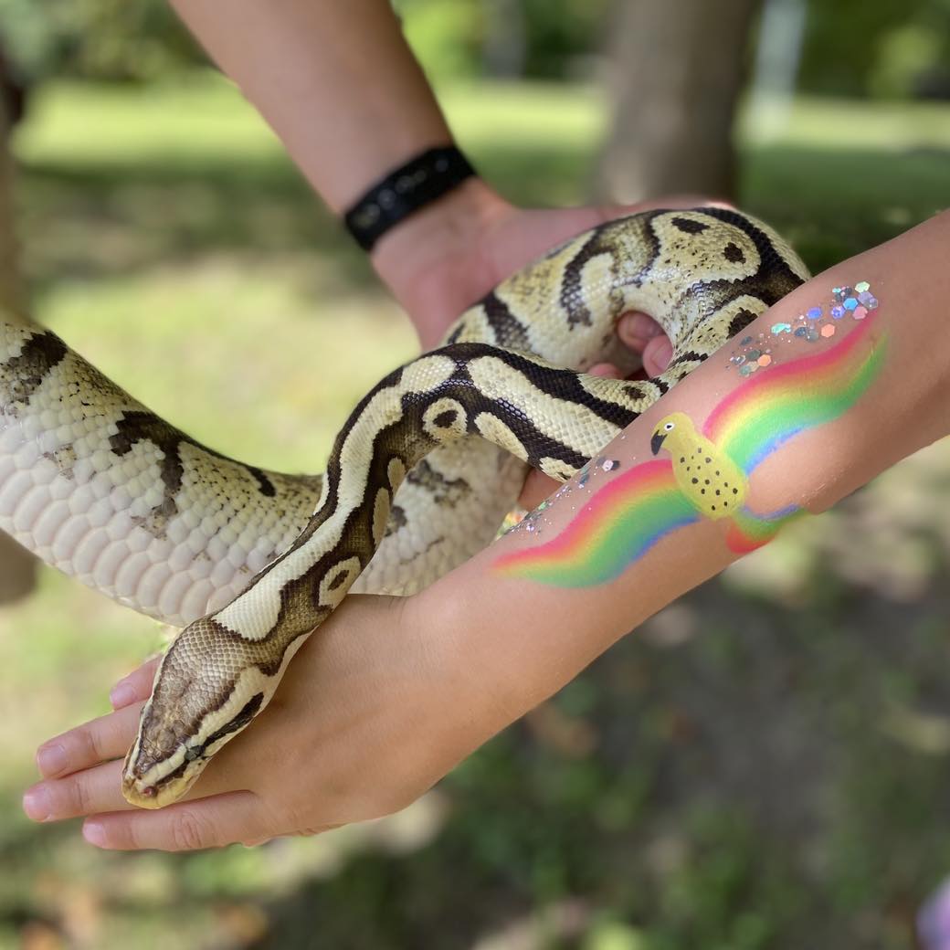 Madudega pildistamine