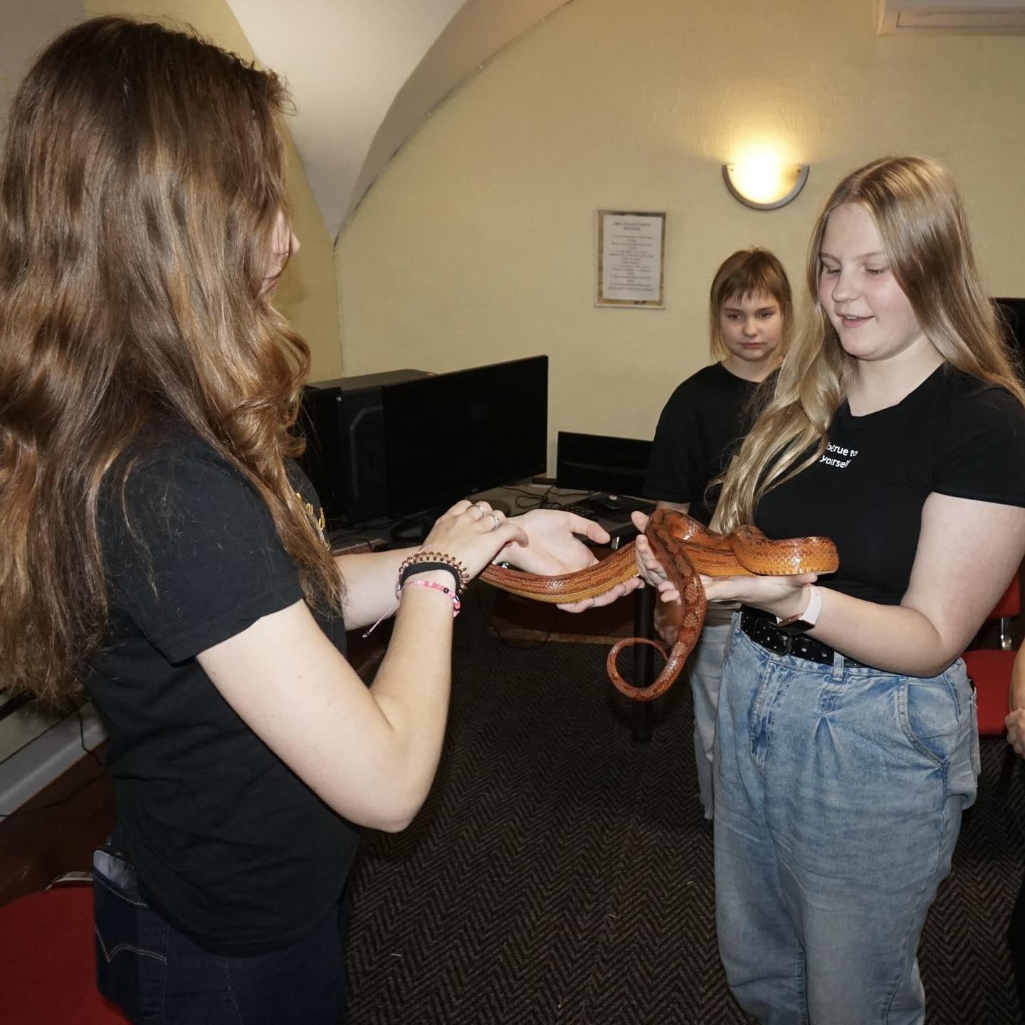 Madudega pildistamine