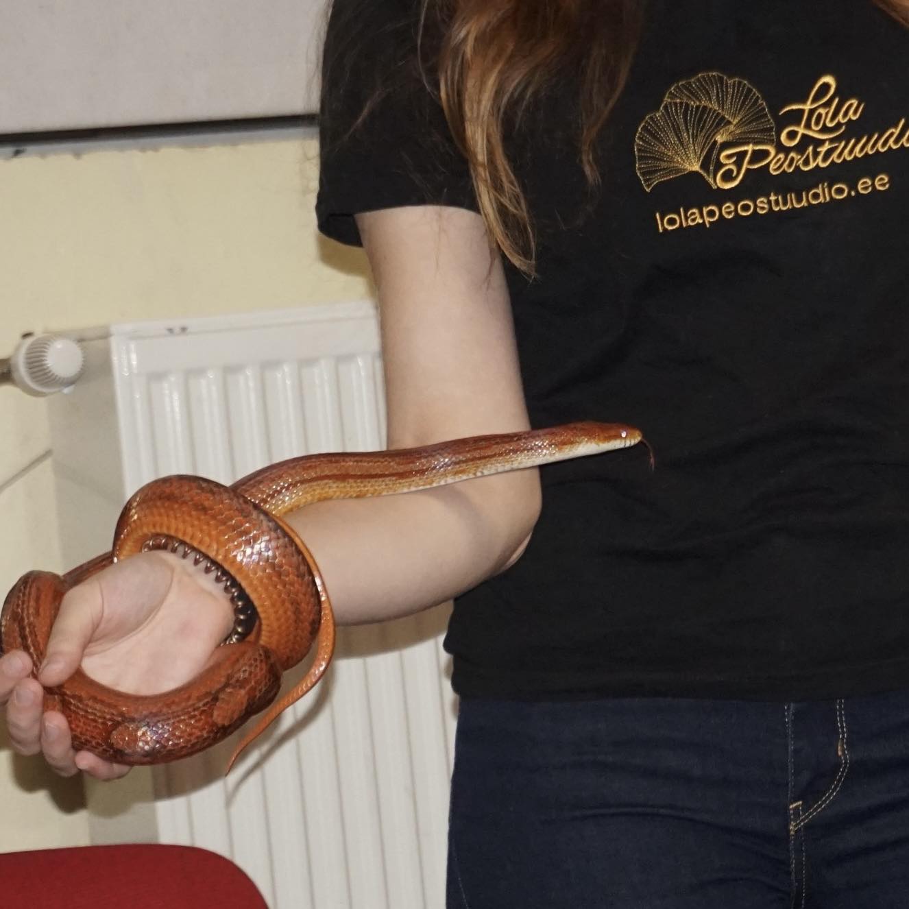 Madudega pildistamine