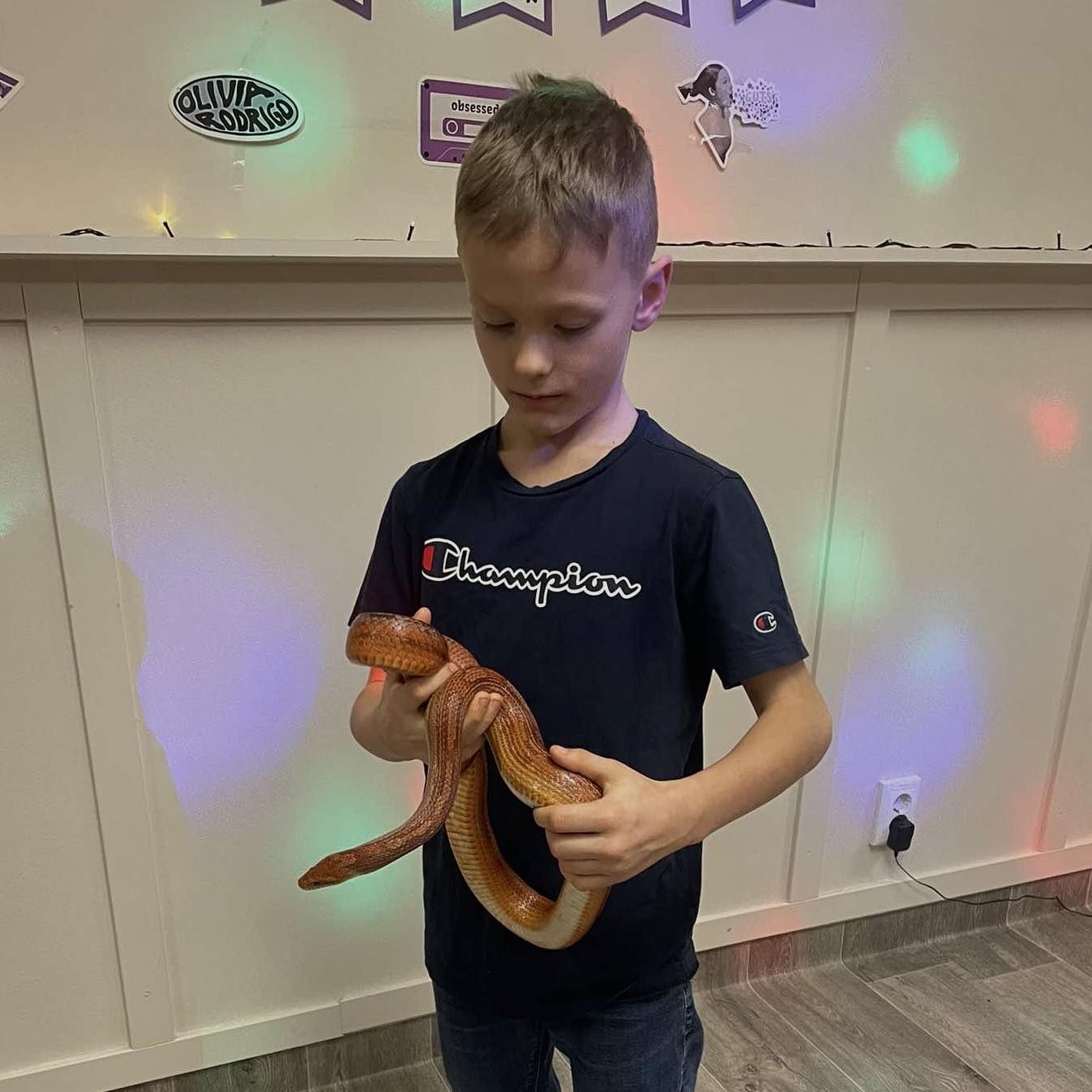 Madudega pildistamine