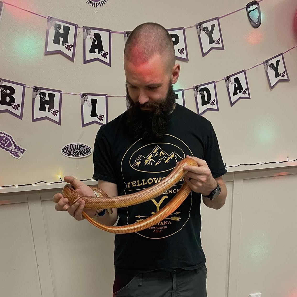 Madudega pildistamine