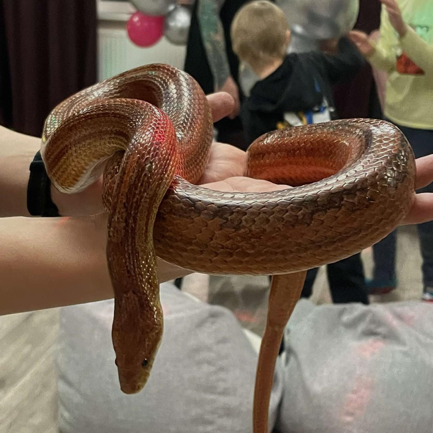 Madudega pildistamine