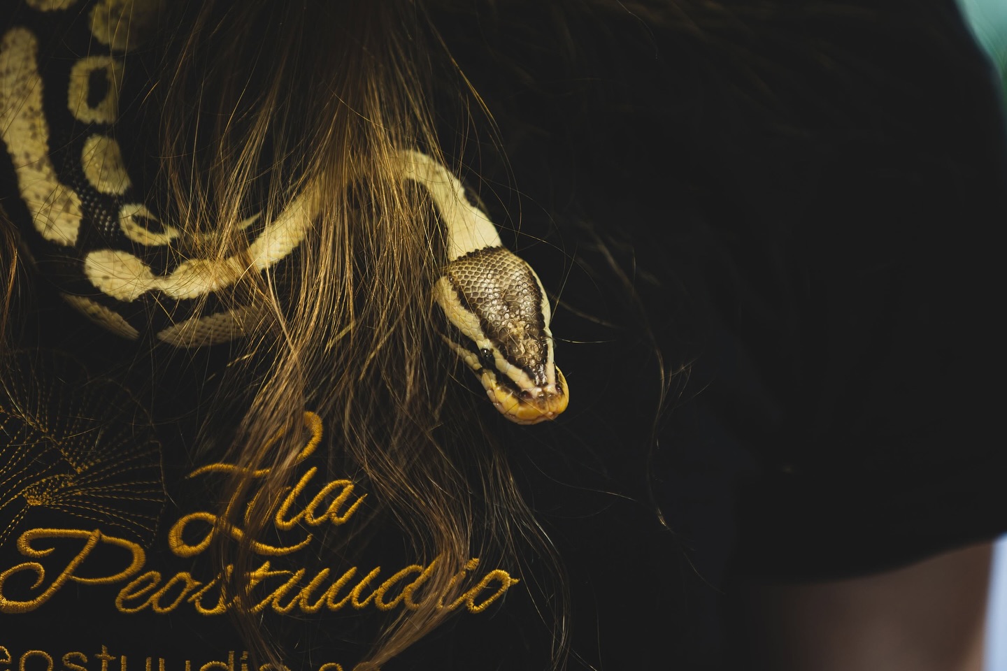 Vastse-Kuuste noortekeskuse mao aasta alguse tähistamine