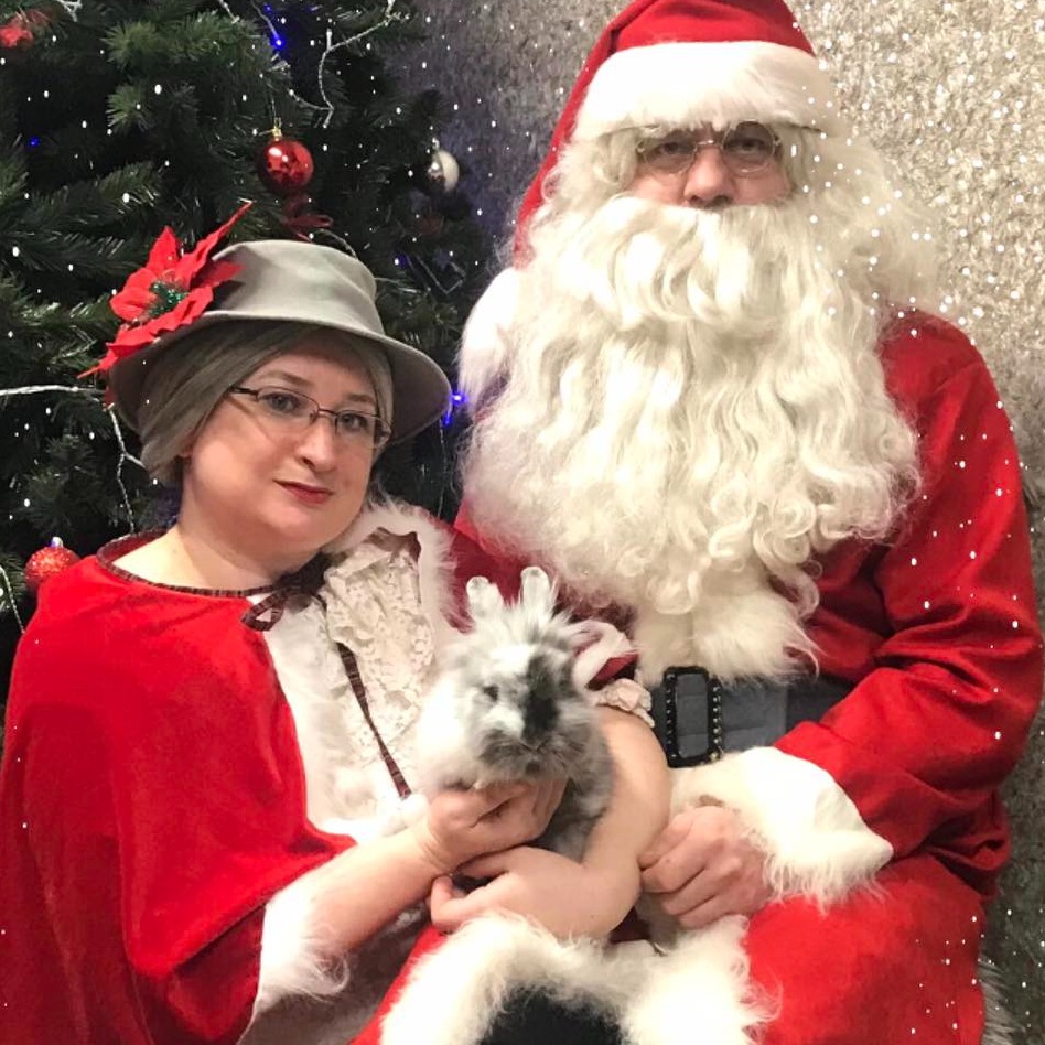 Jõuluvana külastus