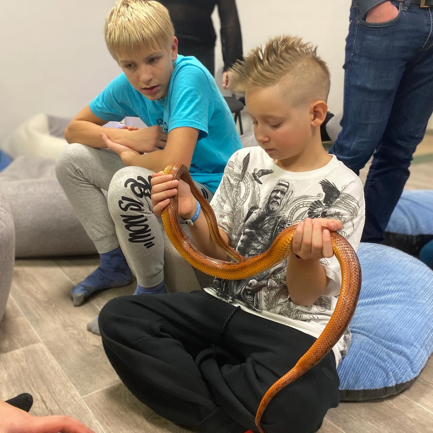 Madudega pildistamine