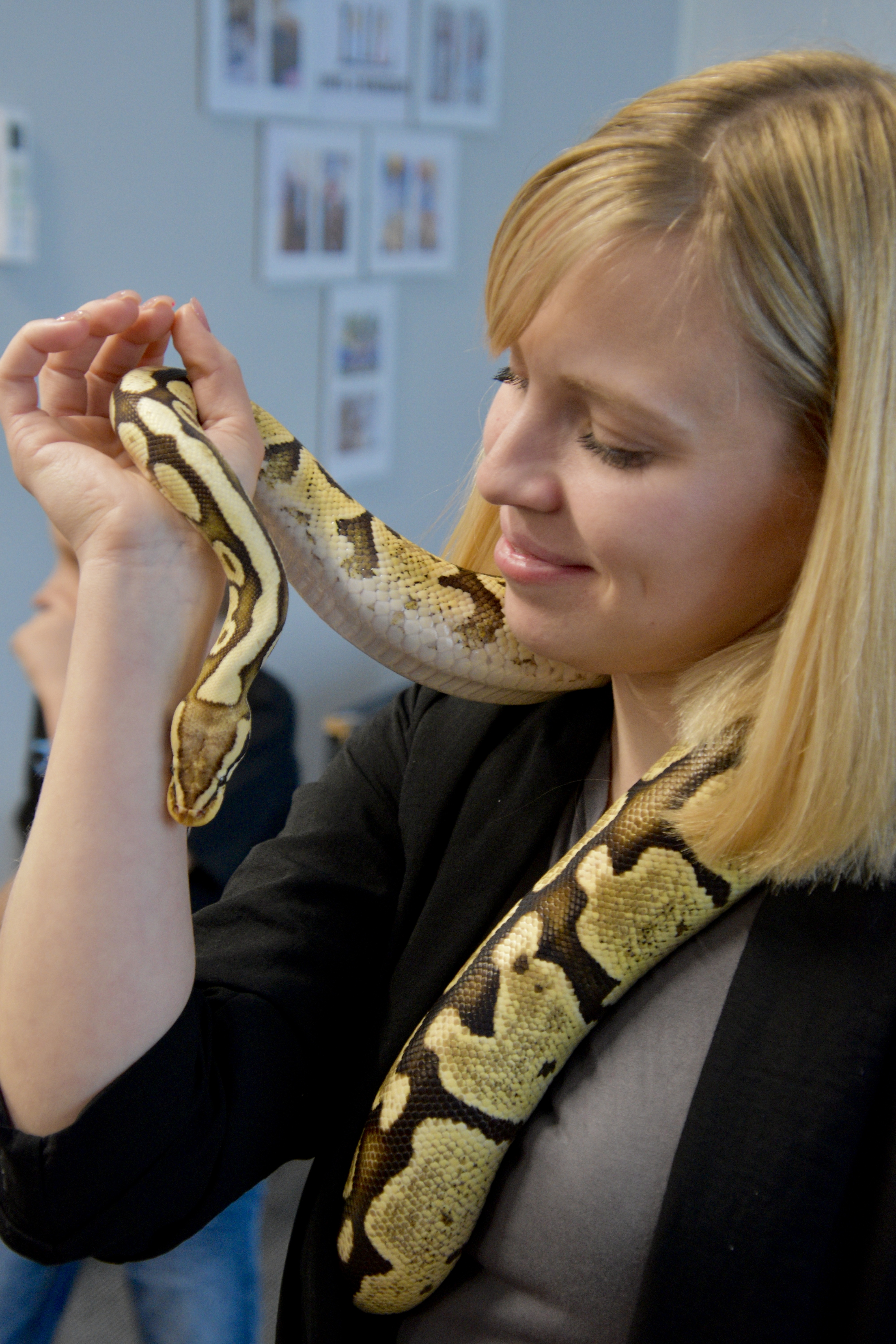 Madudega pildistamine