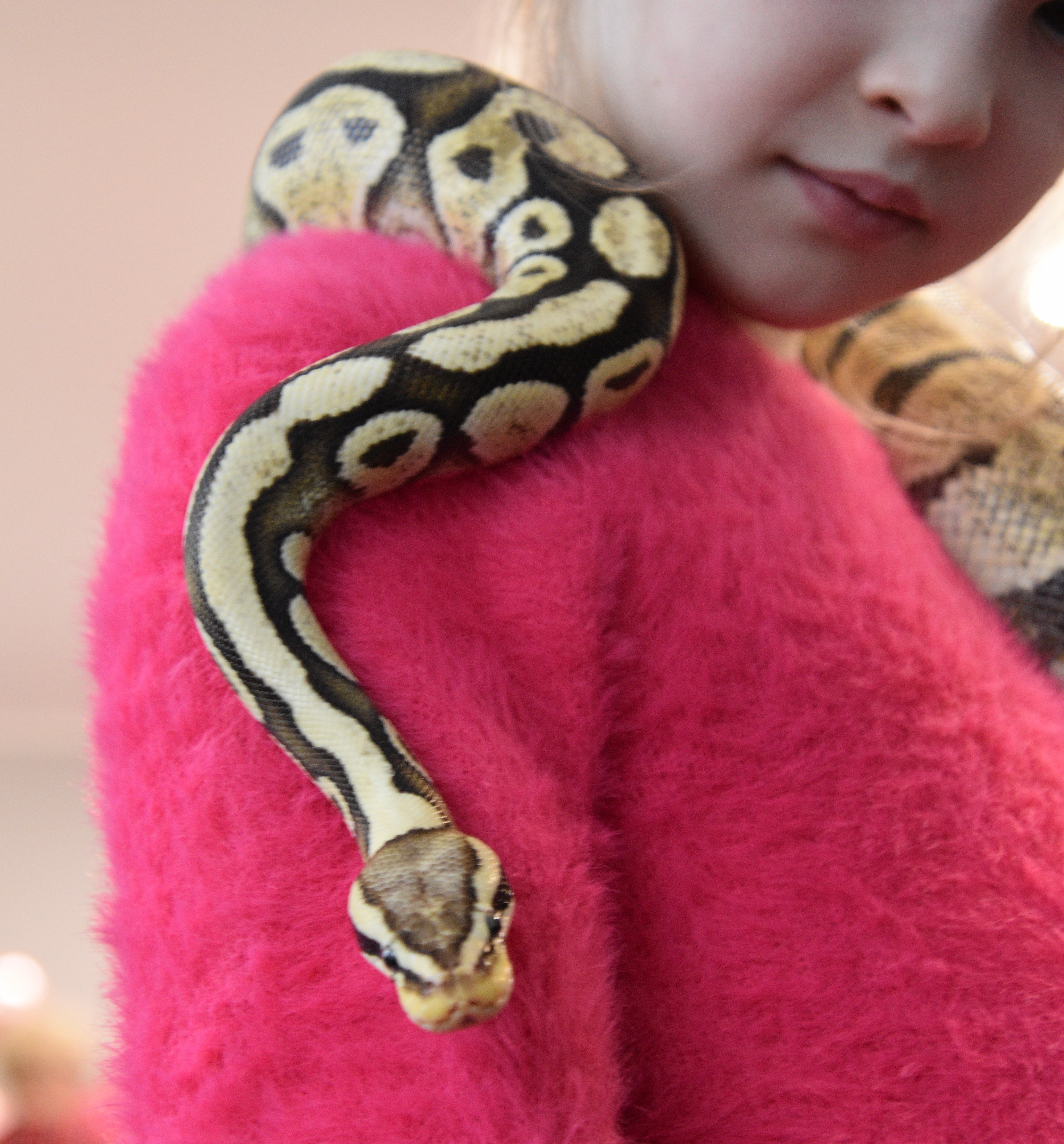 Madudega pildistamine