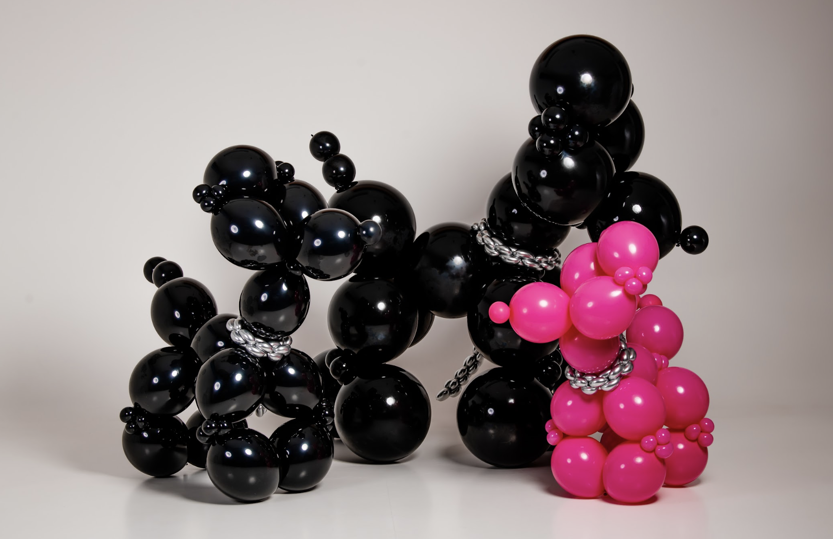 Õhupallidest hiigelkoerad